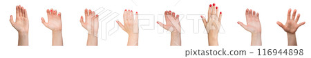 Hands holding, catching, grasping something, gestures set isolated on white background. 116944898