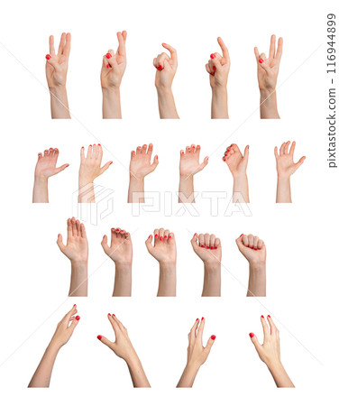Hands and fingers gestures, signs set. Pointing, holding, grabbing, grasping, catching actions Hands and fingers gestures, signs set. Pointing, holding, grabbing, grasping, catching actions 116944899