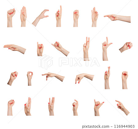 Different hand signs, gestures set. Pointing fingers, clenched fist, holding with red nail manicure, Different hand signs, gestures set. Pointing fingers, clenched fist, holding with red nail manicure, 116944903