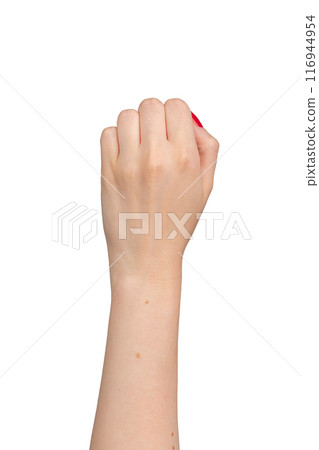 Right hand in a bent fist, knuckles and red polished fingernails showing, dorsal view. Isolated on Right hand in a bent fist, knuckles and red polished fingernails showing, dorsal view. Isolated on 116944954