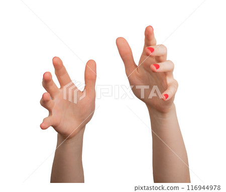 hand reaching forward, with a graceful and deliberate gesture. The hand, isolated on a white 116944978