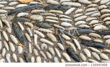 Patterned Pebble Pathway with Stones 116945408