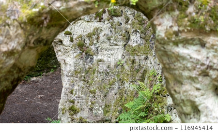 Moss-Covered Rock Formation with Arch 116945414