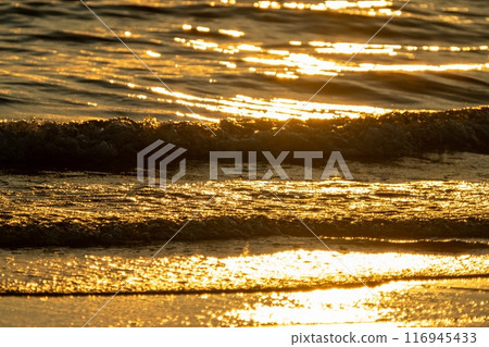 Golden Sunset Waves on Sandy Beach Golden Sunset Waves on Sandy Beach 116945433