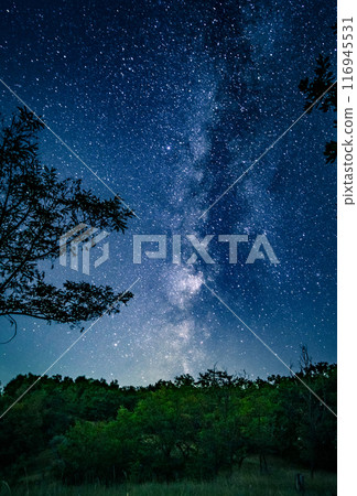 Milky way glowing over wood 116945531