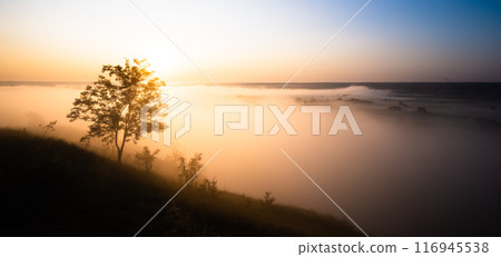 Tree on hill above misty valley 116945538