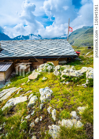 House in Alps 116945561