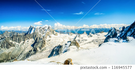 Panoramic view of snowbound Alps Panoramic view of snowbound Alps 116945577