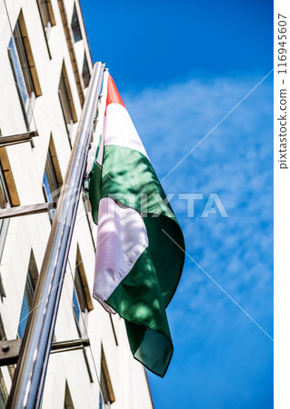 Hungarian flag on flagpole 116945607