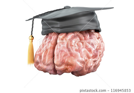 Brain with graduation hat. Education and graduation concept, 3D rendering 116945853