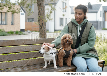 Cuddling pets while resting on bench 116945919