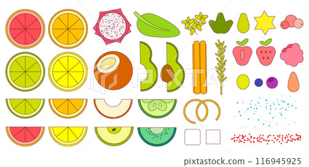 Fruits and berries big set. Vector flat illustration with outline, editable stroke 116945925