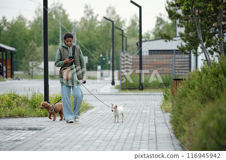 Teenager walking in park with two pets 116945942