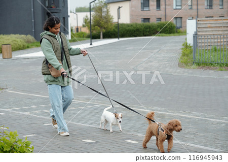 Teenage girl holding leashes of two dogs Teenage girl holding leashes of two dogs 116945943
