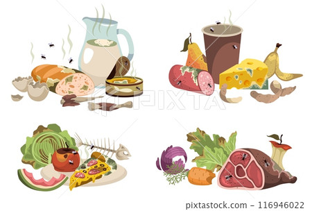 Rotten food scenes. Expired products compositions, moldy vegetables, fruits, meat and milk. Compost materials, decomposing organic matter, cartoon flat style isolated tidy vector set Rotten food scenes. Expired products compositions, moldy vegetables, fruits, meat and milk. Compost materials, decomposing organic matter, cartoon flat style isolated tidy vector set 116946022