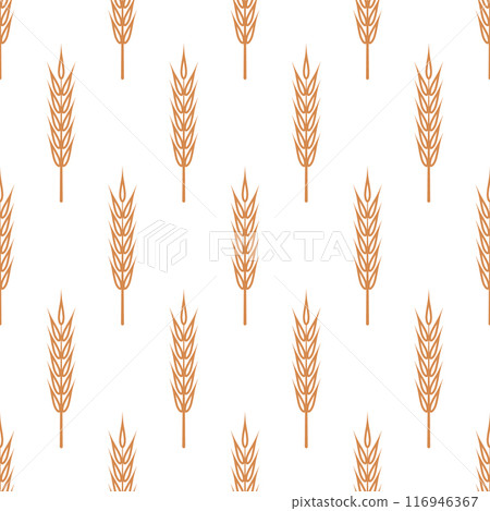 Vector Seamless Pattern with Agriculture Wheat, Cereal Ears. Organic Wheat, Rice Ears. Grain Ear Design Template for Bread, Beer Packaging, Farming, Organic Food Concept 116946367