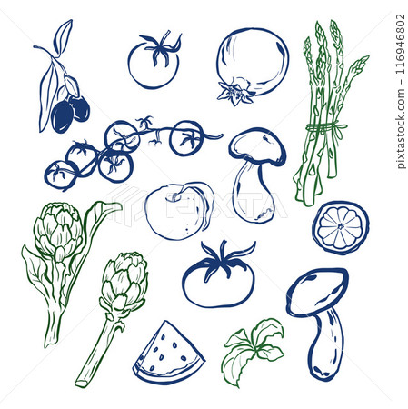 Vector doodle set of vegetable and fruit. Hand-drawn fresh linear mushroom, tomato, artichoke and olive isolated on white background. Tasty food illustration for design, print, fabric or background. Vector doodle set of vegetable and fruit. Hand-drawn fresh linear mushroom, tomato, artichoke and olive isolated on white background. Tasty food illustration for design, print, fabric or background. 116946802