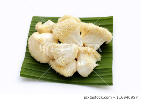 Fresh lion's mane mushroom on white background. (Yamabushitake Mushroom) 116946957