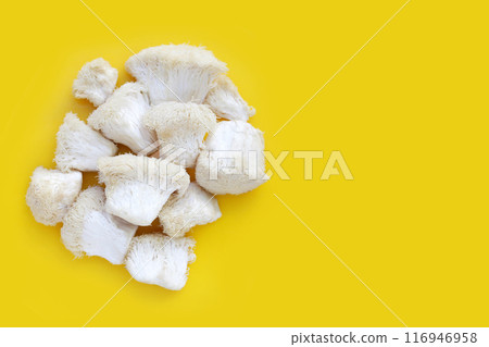 Fresh lion's mane mushroom on yellow background. (Yamabushitake Mushroom) 116946958