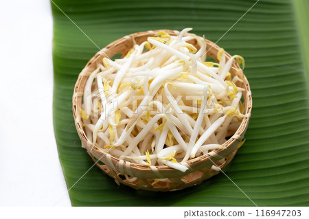 Bean sprouts on banana leaf 116947203