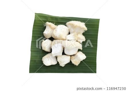 Fresh lion's mane mushroom on white background. (Yamabushitake Mushroom) 116947230