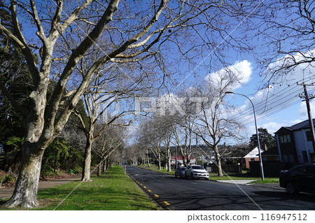 Winter landscape in New Zealand Winter landscape in New Zealand 116947512
