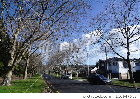 Winter landscape in New Zealand Winter landscape in New Zealand 116947513