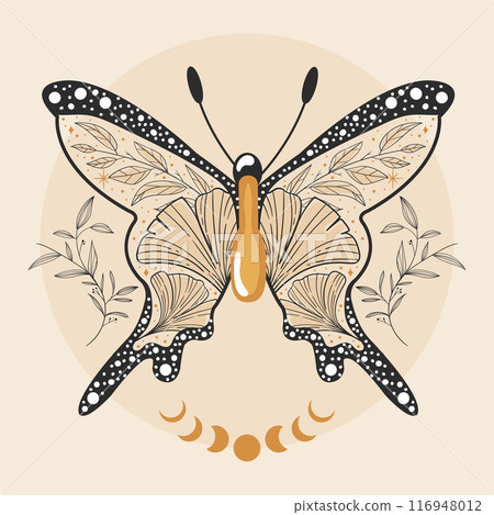 Esoteric butterfly Mystic tattoo Vector Esoteric butterfly Mystic tattoo Vector 116948012