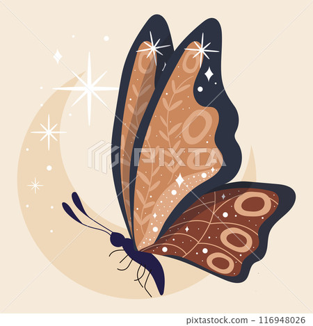 Esoteric butterfly Mystic tattoo Vector Esoteric butterfly Mystic tattoo Vector 116948026