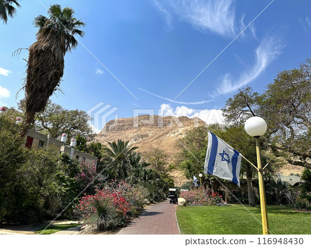 Ein Gedi Botanical Garden on the shores of the Dead Sea Ein Gedi Botanical Garden on the shores of the Dead Sea 116948430