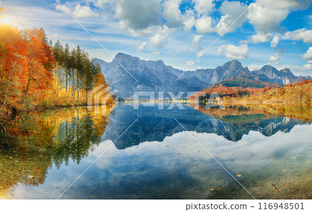 Breathtaking autumn scene of sunny morning on Almsee lake. Breathtaking autumn scene of sunny morning on Almsee lake. 116948501