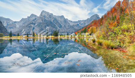 Breathtaking autumn scene of sunny morning on Almsee lake. 116948505
