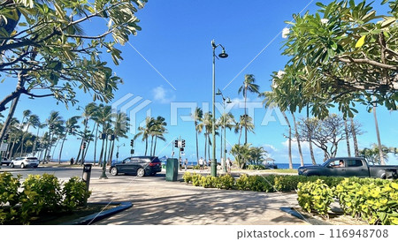 Palm trees and beach Palm trees and beach 116948708