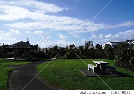 A park in a residential area of New Zealand 116949021