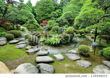葛飾區山本亭庭園 116949033