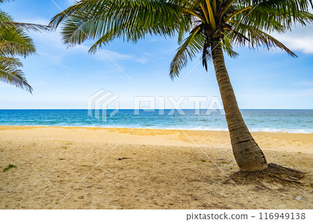 Summer background of Coconut Palm trees on white sandy beach Landscape nature view Romantic ocean bay with blue water and clear blue sky over sea at Phuket island Thailand. Summer background of Coconut Palm trees on white sandy beach Landscape nature view Romantic ocean bay with blue water and clear blue sky over sea at Phuket island Thailand. 116949138