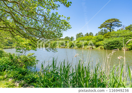 Myojin Pond in Ida: A sandbar where the tip of the sandbar closes off the bay; a freshwater lake cut off from the sea Myojin Pond in Ida: A sandbar where the tip of the sandbar closes off the bay; a freshwater lake cut off from the sea 116949236
