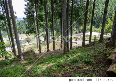 Arafune Fukae: Approach road to the remains of the silkworm egg storage facility Arafune Fukae: Approach road to the remains of the silkworm egg storage facility 116949329