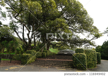 康沃爾公園在冬天在奧克蘭 康沃爾公園在冬天在奧克蘭 116949402