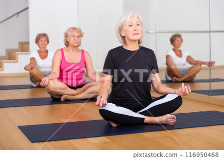 Group of aged ladies sitting in lotus pose Group of aged ladies sitting in lotus pose 116950468