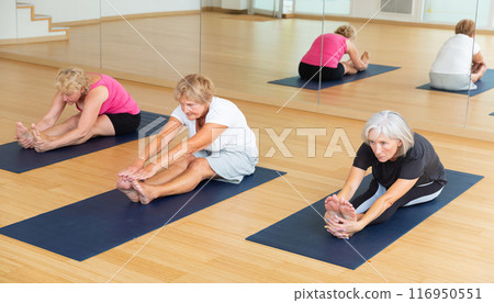 Group of senior women doing seated forward bend Group of senior women doing seated forward bend 116950551