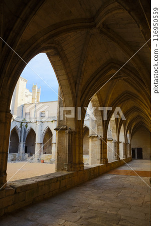 Inner court of Cathedral of Saints Nazaire, Beziers 116950559
