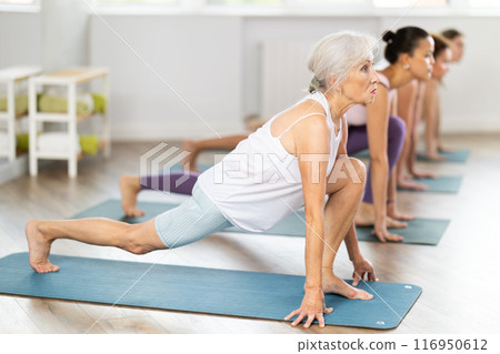 Elderly woman performing Lunge Equestrian Pose in yoga studio Elderly woman performing Lunge Equestrian Pose in yoga studio 116950612