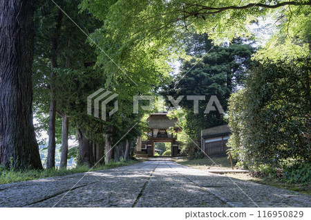 Ibaraki: The approach to Saienji Temple (Kasama City) 116950829