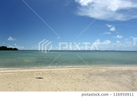 沖繩美麗的夏日海形象 沖繩美麗的夏日海形象 116950911