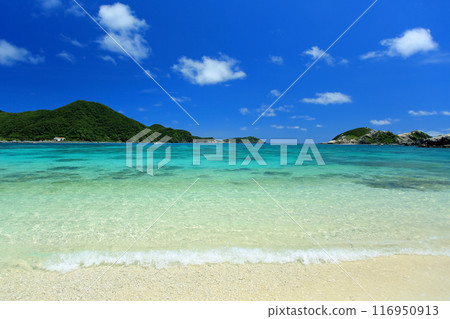 仲夏沖繩渡嘉敷島美麗的慶良間藍色阿哈倫海灘 116950913