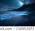 Sea Beach Night Star 116951071