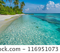 Sea Beach Day 116951073