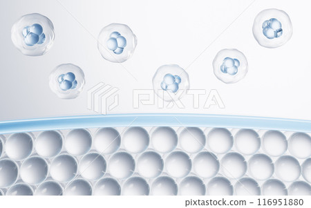 purity, droplet, moisture 116951880