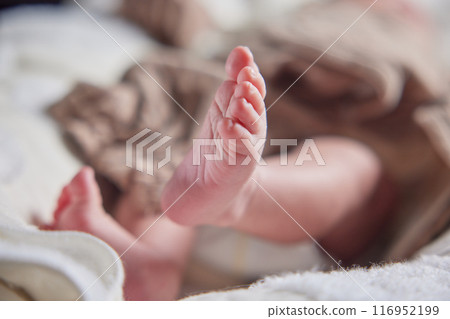 Newborn Newborn 116952199